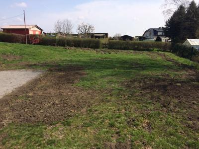 Arbeiten an der Festwiese 02.04.2016 Arbeiten an der Festwiese 02.04.2016